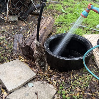 צינור מים משקה אזור חיצוני עם צמחייה