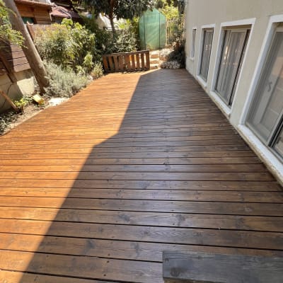 דק עץ בגינה עם צמחייה מסביב