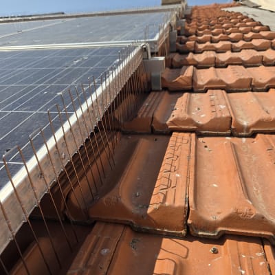 דוקרנים על גג רעפים להסרת יונים