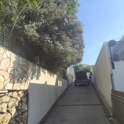 עץ גדול לצד שביל עם רכב עבודה