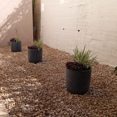 שלושה עציצים עם צמחים על חצץ בגינה