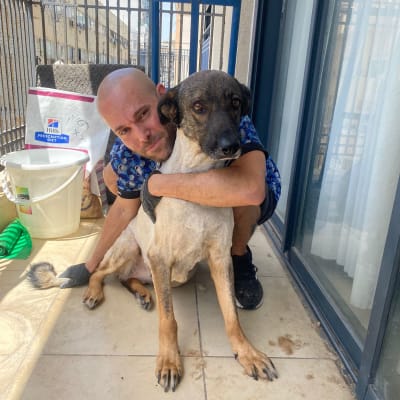 אדם מחבק כלב לאחר תספורת על מרפסת