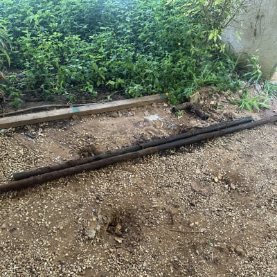 צינורות חלודים מונחים על הקרקע ליד צמחייה