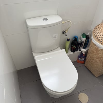 אסלה עם צינור מים ומגוון חומרי ניקוי