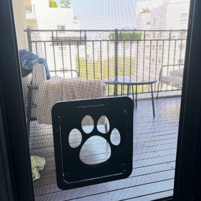 דלת רשת עם מסגרת אלומיניום ומעבר לחיות מחמד