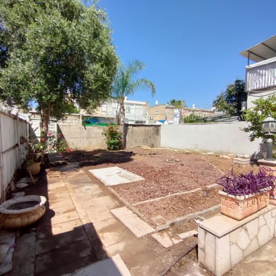 גינה עם עצים, אדמה, עציצים ושביל מרוצף