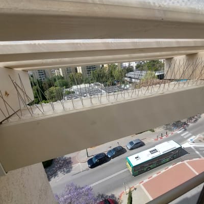 דוקרנים למניעת יונים מותקנים על מדף חיצוני