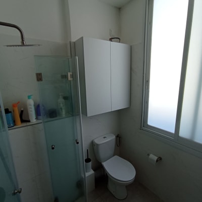 חדר אמבטיה עם מקלחון, ארון קיר ושירותים