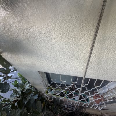 קיר חיצוני עם צמחייה וסורגי חלון