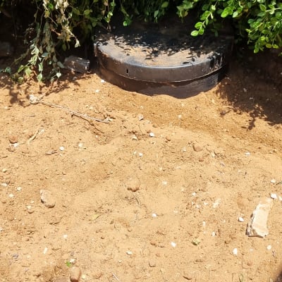 מכסה ביוב עגול מכוסה בצמחייה ירוקה