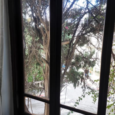 חלון זכוכית עם נוף עצים בחוץ