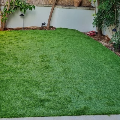 דשא ירוק עם עצים ושיחים מסביב לגינה