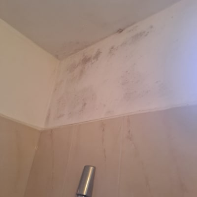 פינה עם כתמי עובש על הקיר ליד מקלחת