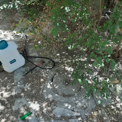 מיכל ריסוס וכלי עבודה על הקרקע ליד שיחים