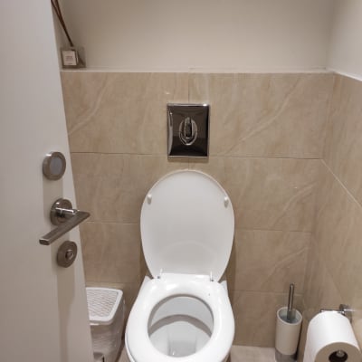 אסלה עם מכסה פתוח, מברשת ניקוי ושירותים