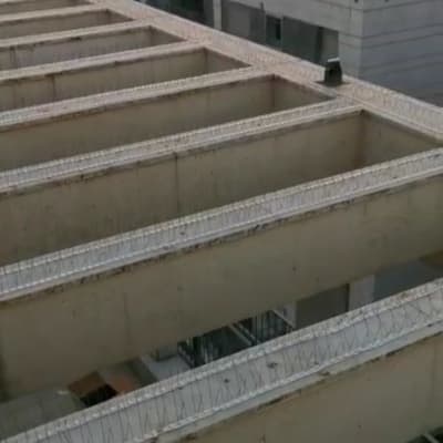 קוצים למניעת יונים על גג בניין