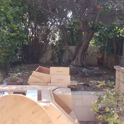 ארונות עץ מפורקים בגינה עם צמחייה מסביב