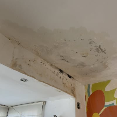 תקרה עם סימני רטיבות ועובש