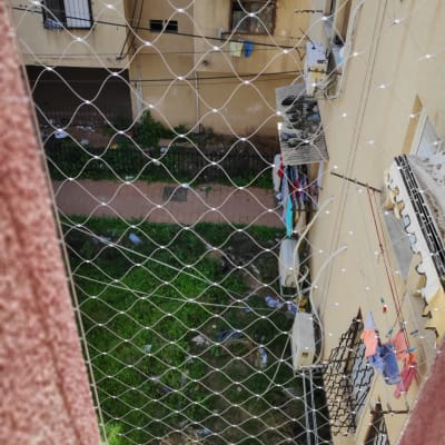 רשת הגנה מותקנת על חלון למניעת כניסת יונים