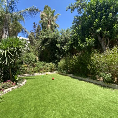 גדר חיה בצד הצפוני והמערבי