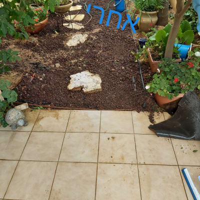 צינור מים בגינה עם דלי כחול