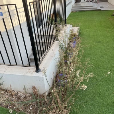 עשבים יבשים ליד גדר על דשא סינתטי