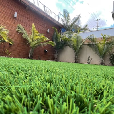 דשא ירוק ועצים קטנים בגינה פרטית