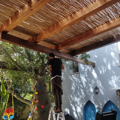 אדם עובד על עץ עם סולם תחת פרגולה מעץ