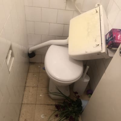 אסלה עם נזילה, מברשת ניקוי, צינור מים