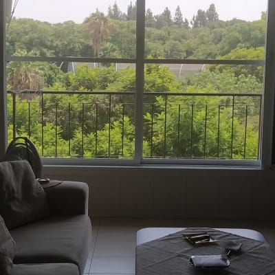 חלון עם תריסים פתוחים ונוף ירוק בחוץ