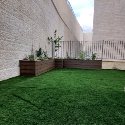 ערוגות עץ עם צמחים ודשא ירוק