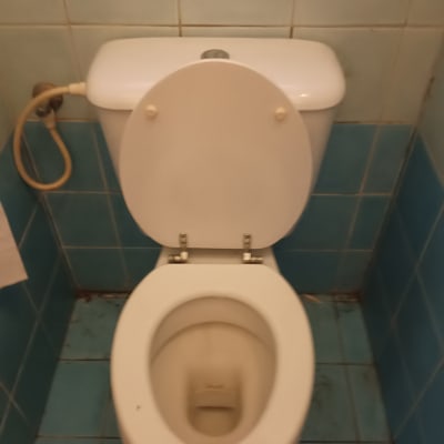 אסלה בחדר אמבטיה עם אריחים כחולים