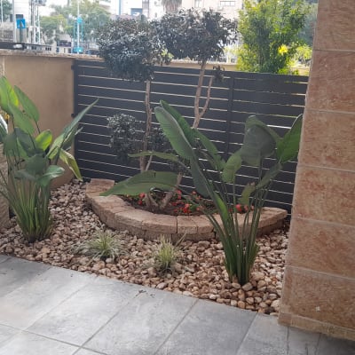 גינה קטנה עם צמחים ואבנים דקורטיביות