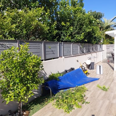 עץ קטן, ענפים גזומים, יריעות כחולות, כלי גינון