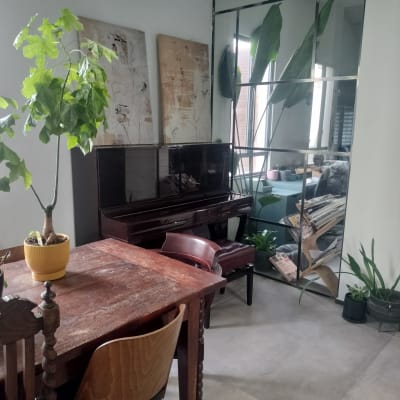 שולחן עץ עם כיסאות, עציץ ירוק על השולחן