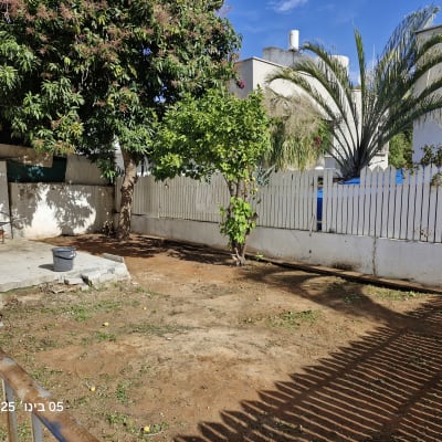 חצר עם עצים, דלי פלסטיק על רצפה