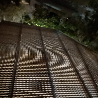 רצפת עץ מוארת בלילה עם צמחייה ברקע