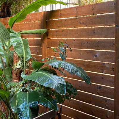 גדר עץ עם צמחים ירוקים וברז מים