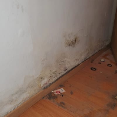 קיר עם סימני רטיבות ועובש בפינה