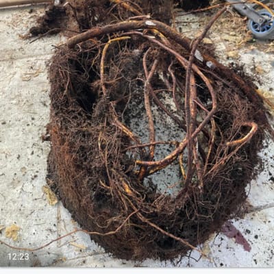 שורשים וכלים על הרצפה, עבודה בתחום האינסטלציה