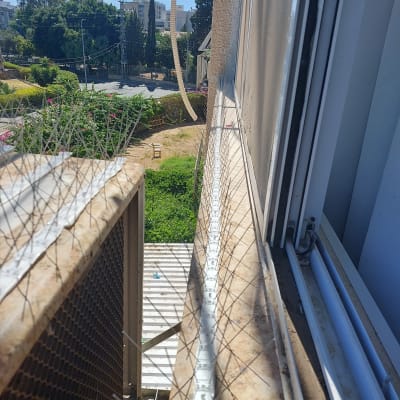 רשת דוקרנים למניעת יונים על אדן חלון