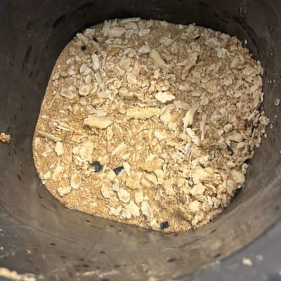 חומר גרוס בתוך דלי שחור