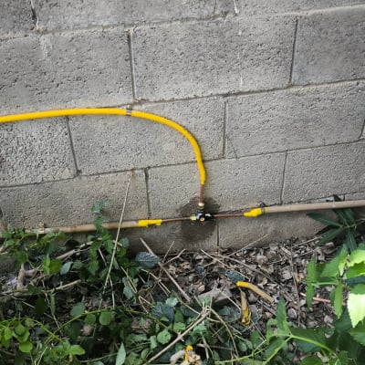 צינור גז צהוב מחובר לקיר בטון עם צמחייה