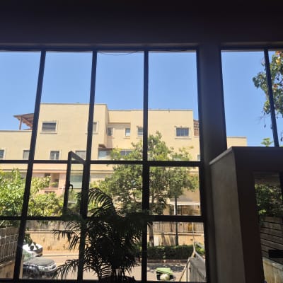 נוף חיצוני עם בניין ועצים דרך חלון גדול