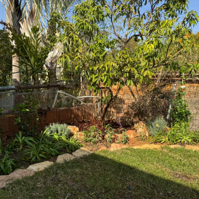 גינה עם צמחים ועצים, עבודה בתחום הגינון