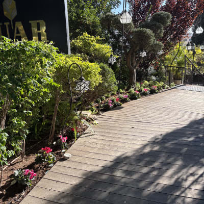 פרחים צבעוניים ושתילים לאורך שביל עץ בגינה