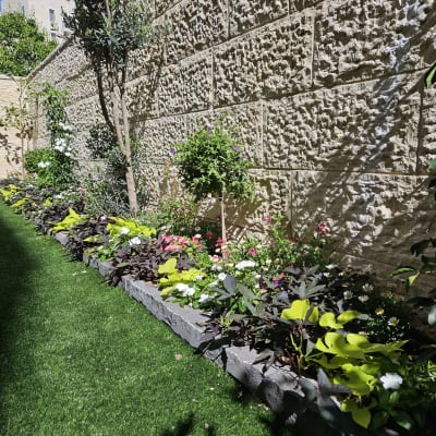 ערוגת פרחים צבעונית לצד קיר אבן בגינה