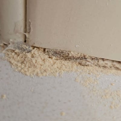 אבקה לבנה על הרצפה ליד פינה של קיר