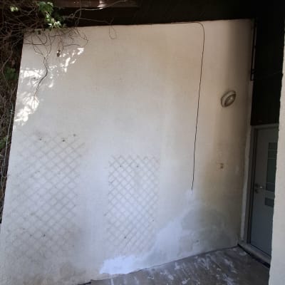 קיר חיצוני עם תיקון טיח וענפים מסביב