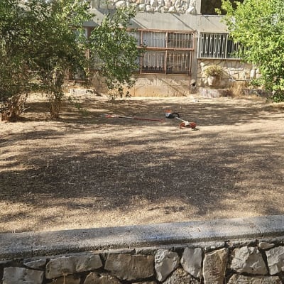 כלי גינון על הקרקע ליד שיחים ועצים